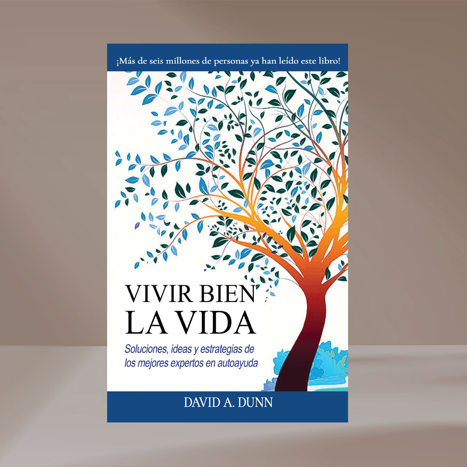 Vivir Bien la Vida (Get Life Right Spanish Translated)