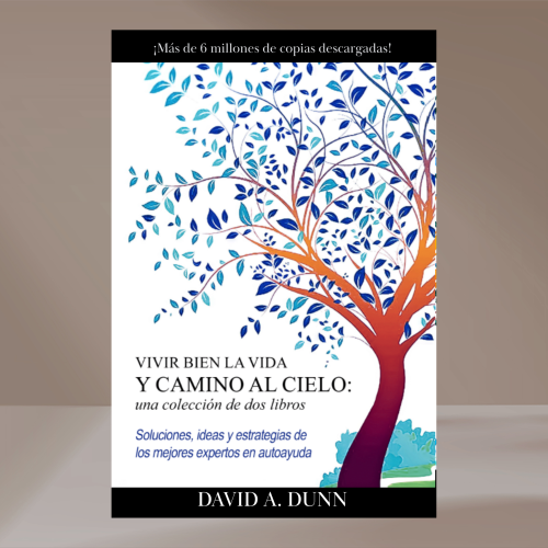 Book Mockups for GLR (6)